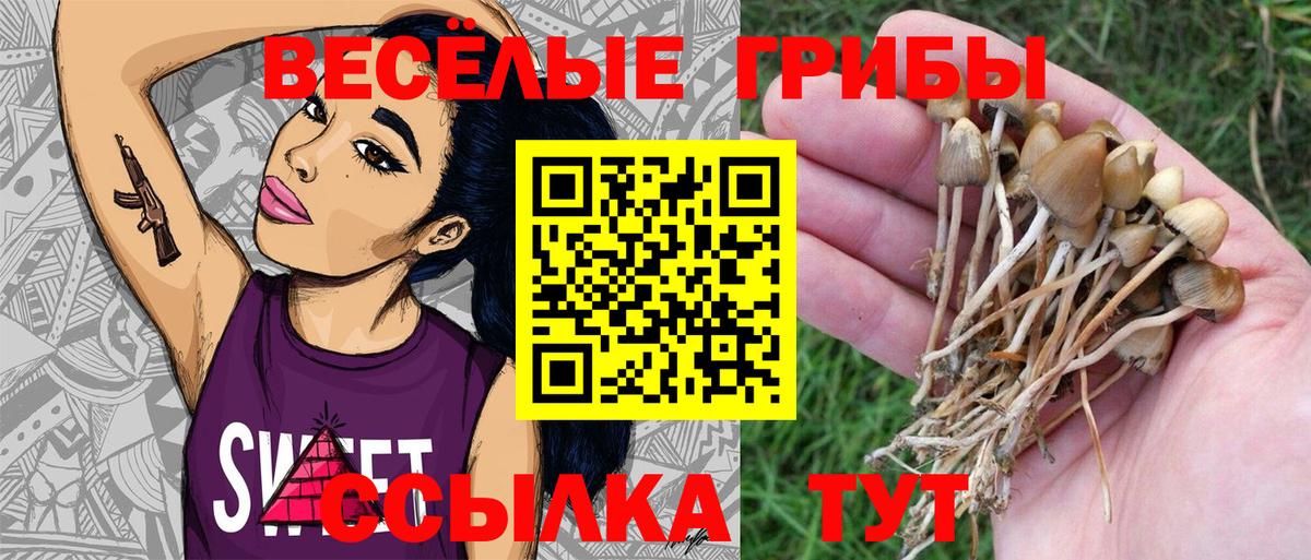 Псилоцибиновые грибы GOLDEN TEACHER  Вход с VPN  Казань 