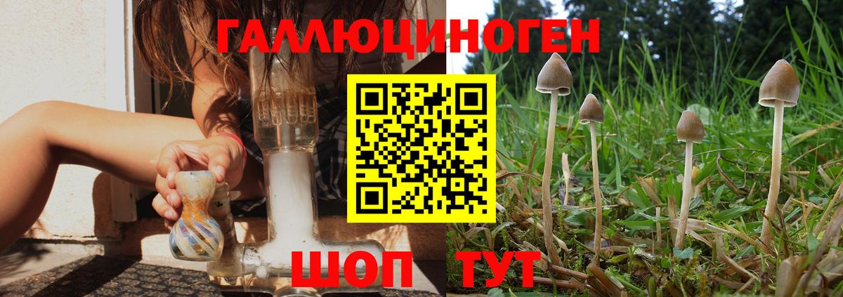 Псилоцибиновые грибы прущие грибы Казань
